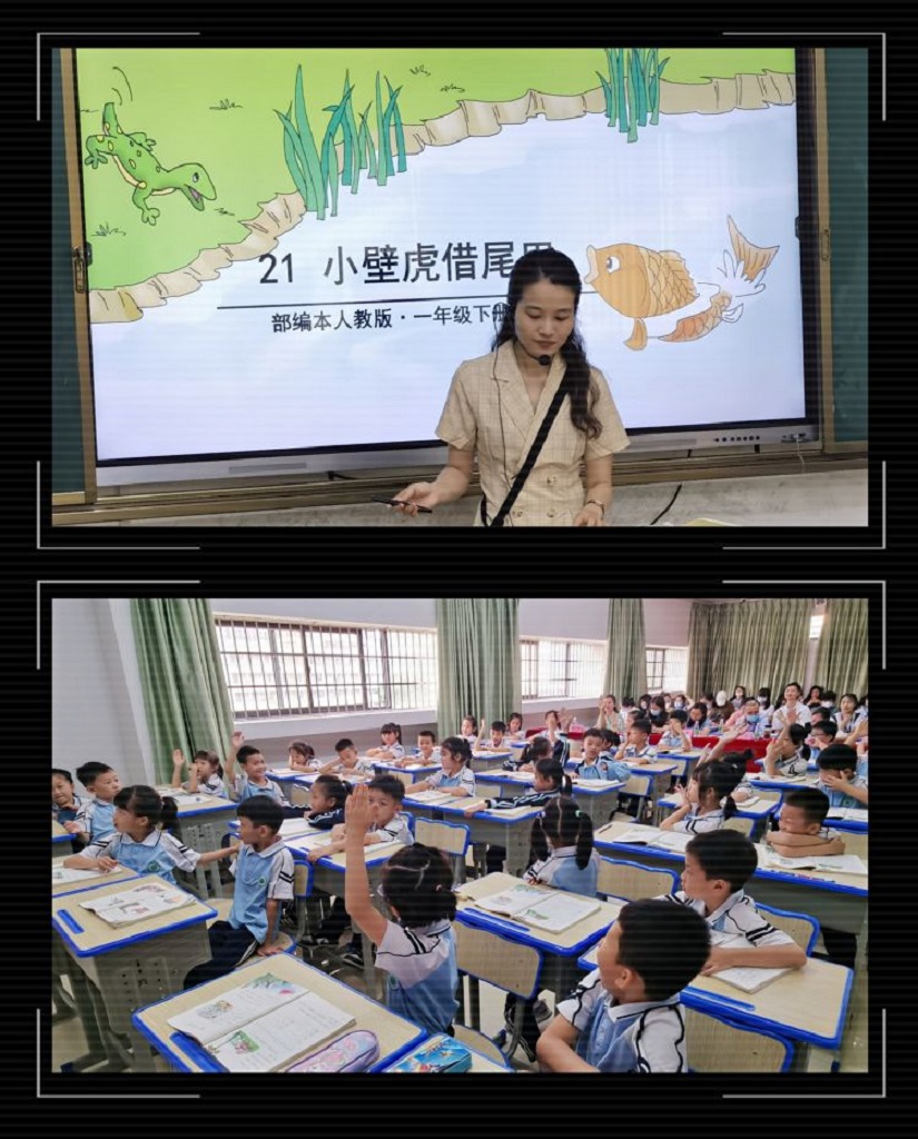 有爱教学，快乐学习——海南师范大学实验小学联合海南师范大学附属幼儿园科学教研活动