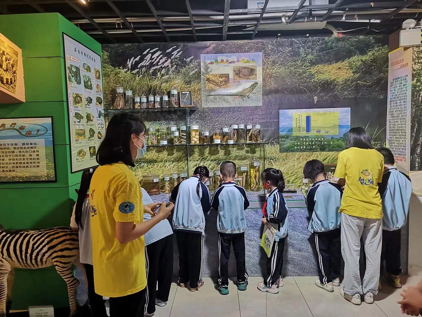 我校组织学生参观海南生物多样性博物馆