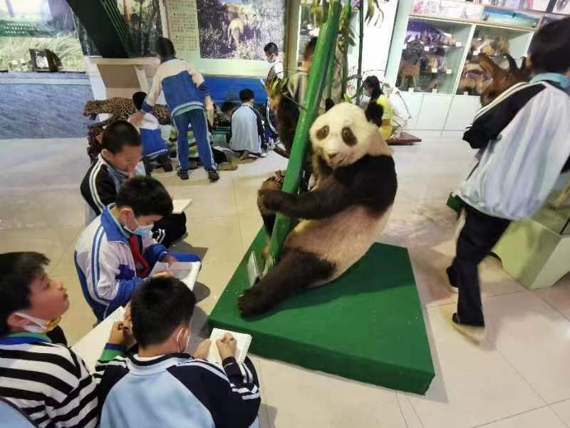 我校组织学生参观海南生物多样性博物馆