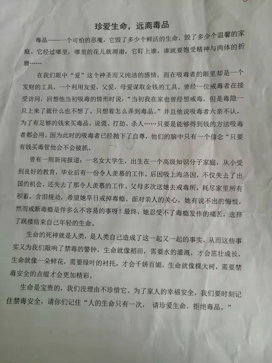 海南师范大学实验小学禁毒征文比赛