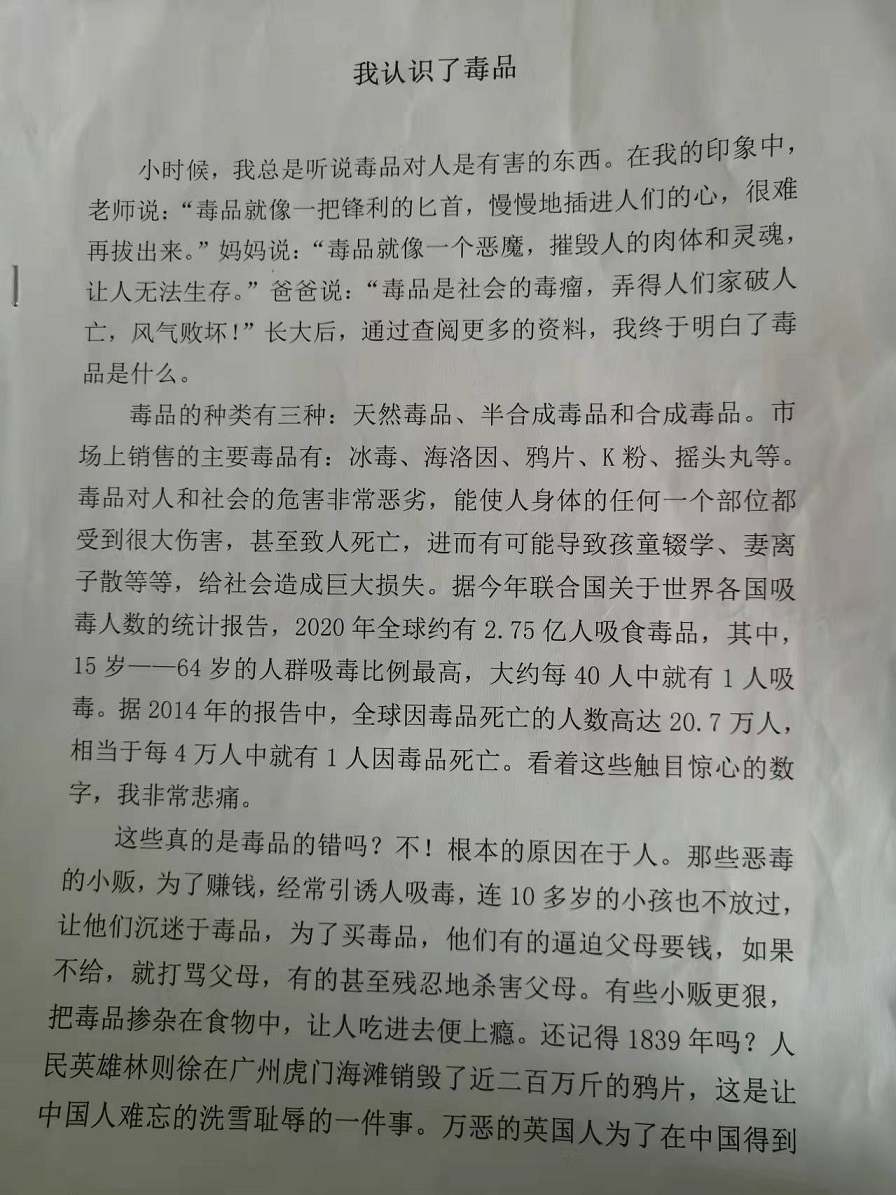 海南师范大学实验小学禁毒征文比赛