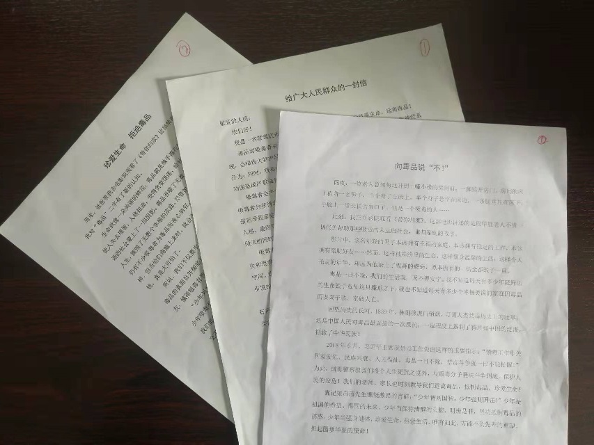 海南师范大学实验小学禁毒征文比赛